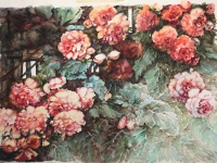 "Begonias"